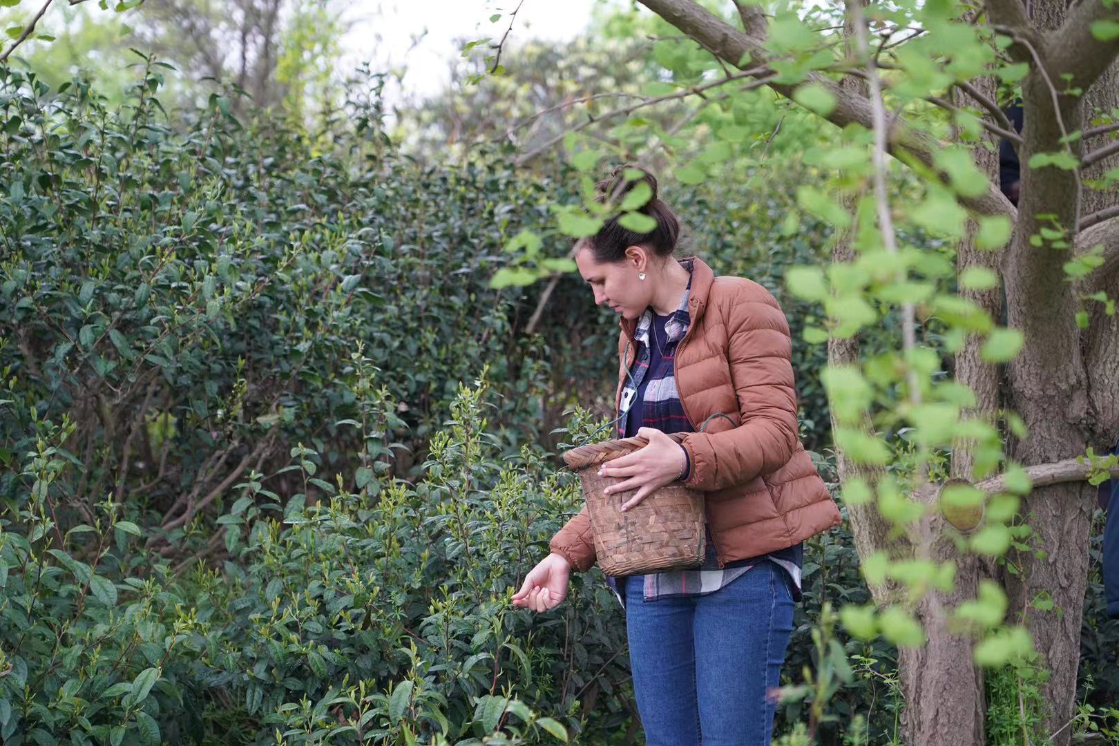 e43efd8520c74c5286a8394f5303e803.jpg 3.jpg